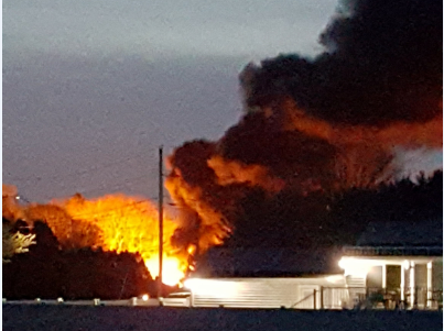 Article 126564 Thumbnail