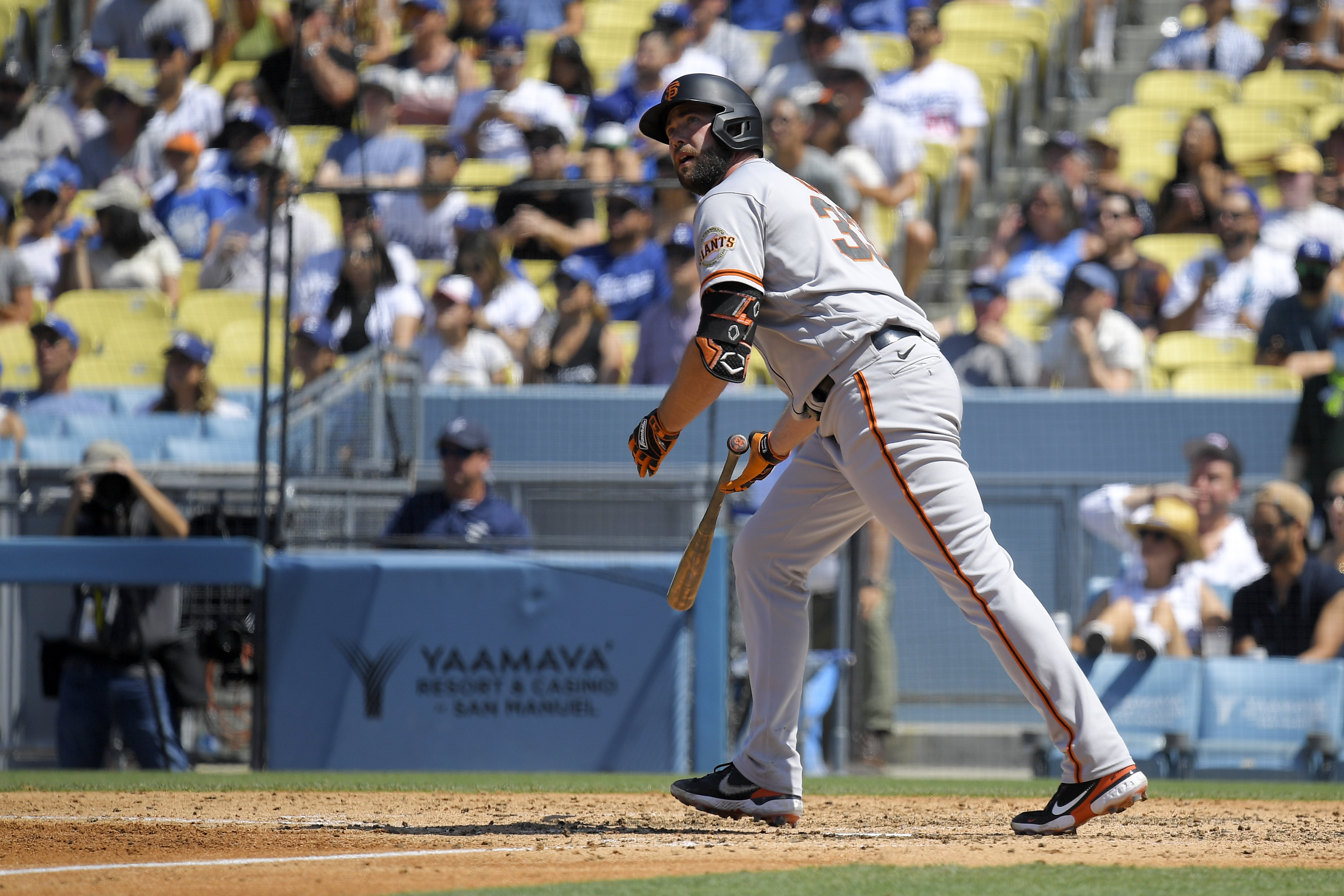 Article 301606 Hero Image