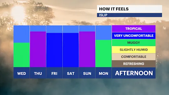 FB Dewpoint Daily PM NO DP