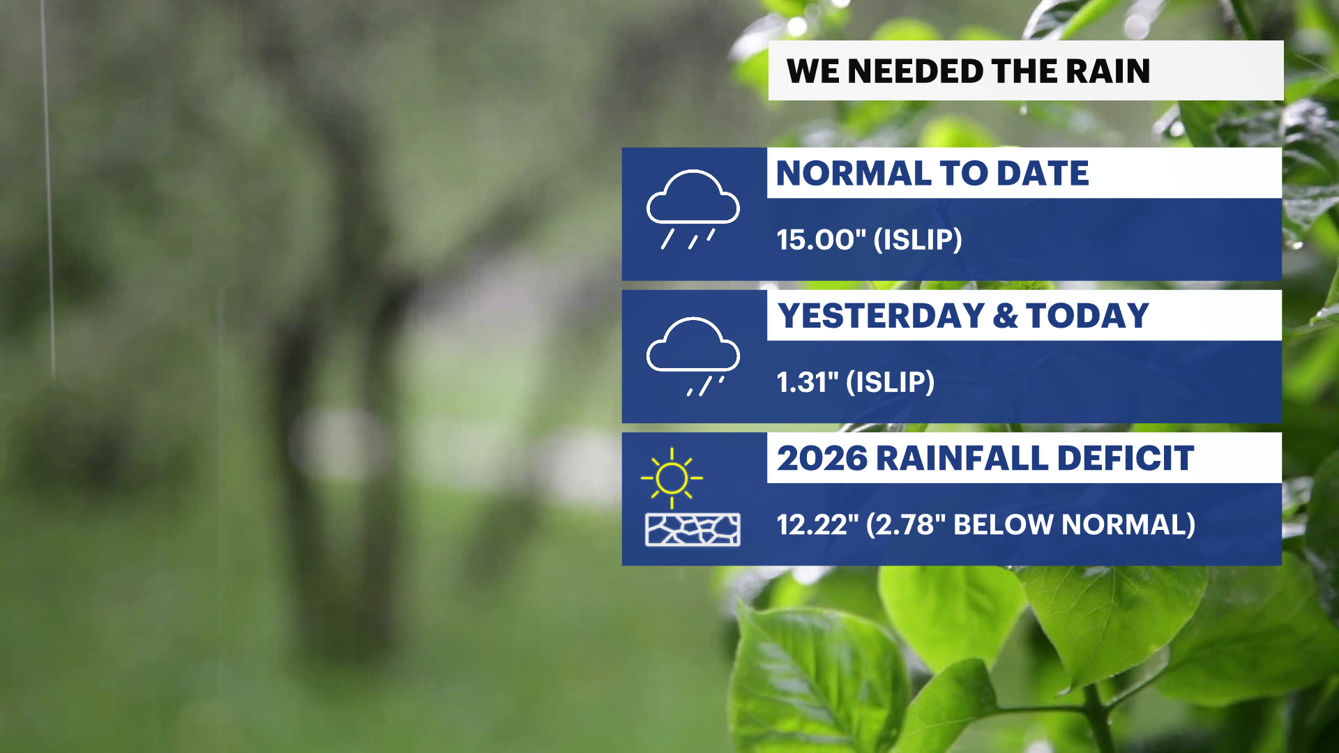 WE NEED SOME RAIN_3_ lines (1).png