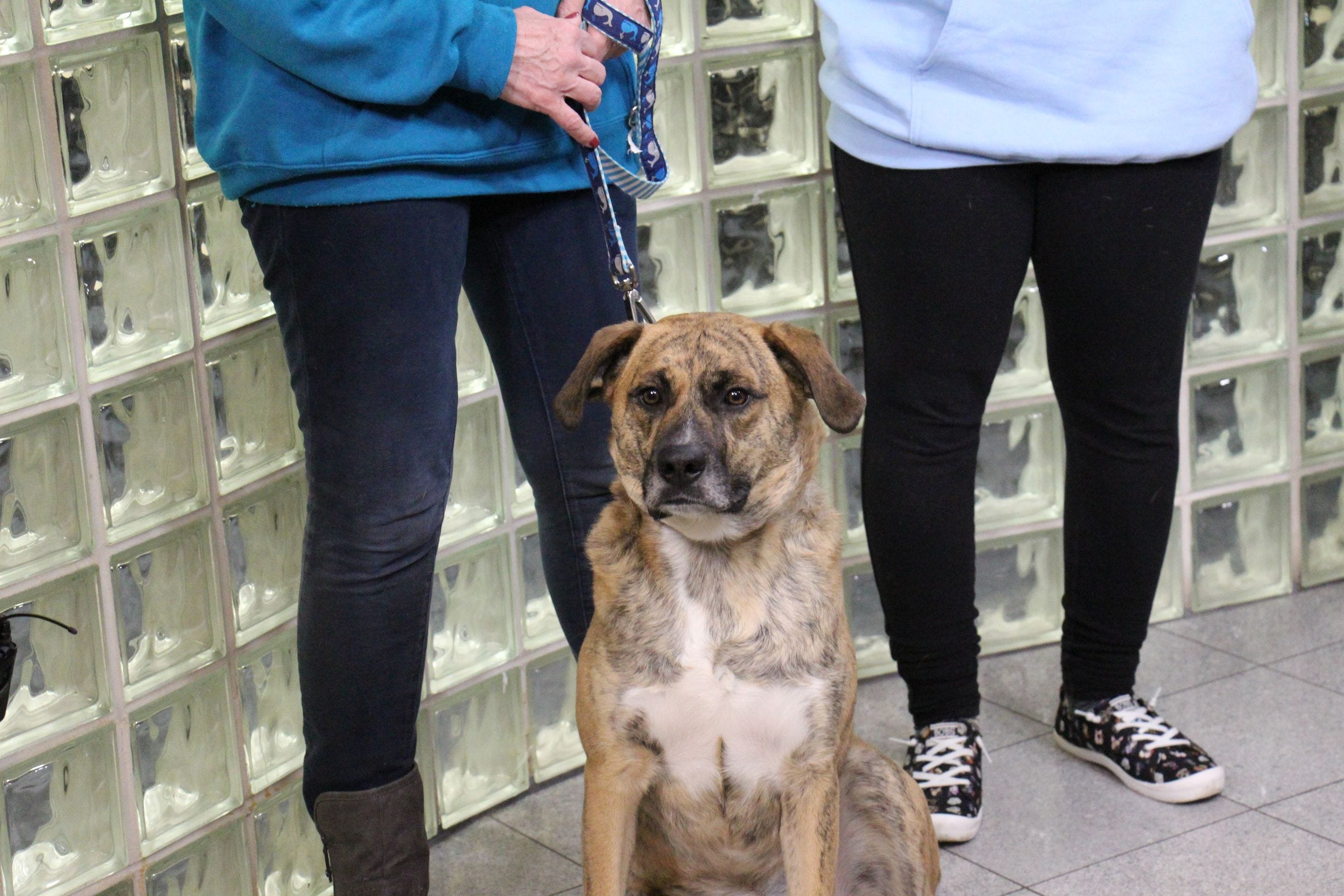 Article 19478 Thumbnail