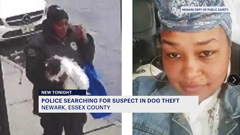 Story image: 'You're not getting your dog back.' Newark dog stolen from front yard, police search for thief