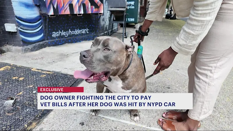 Story image: Bed-Stuy woman files lawsuit against NYPD for running over her dog 