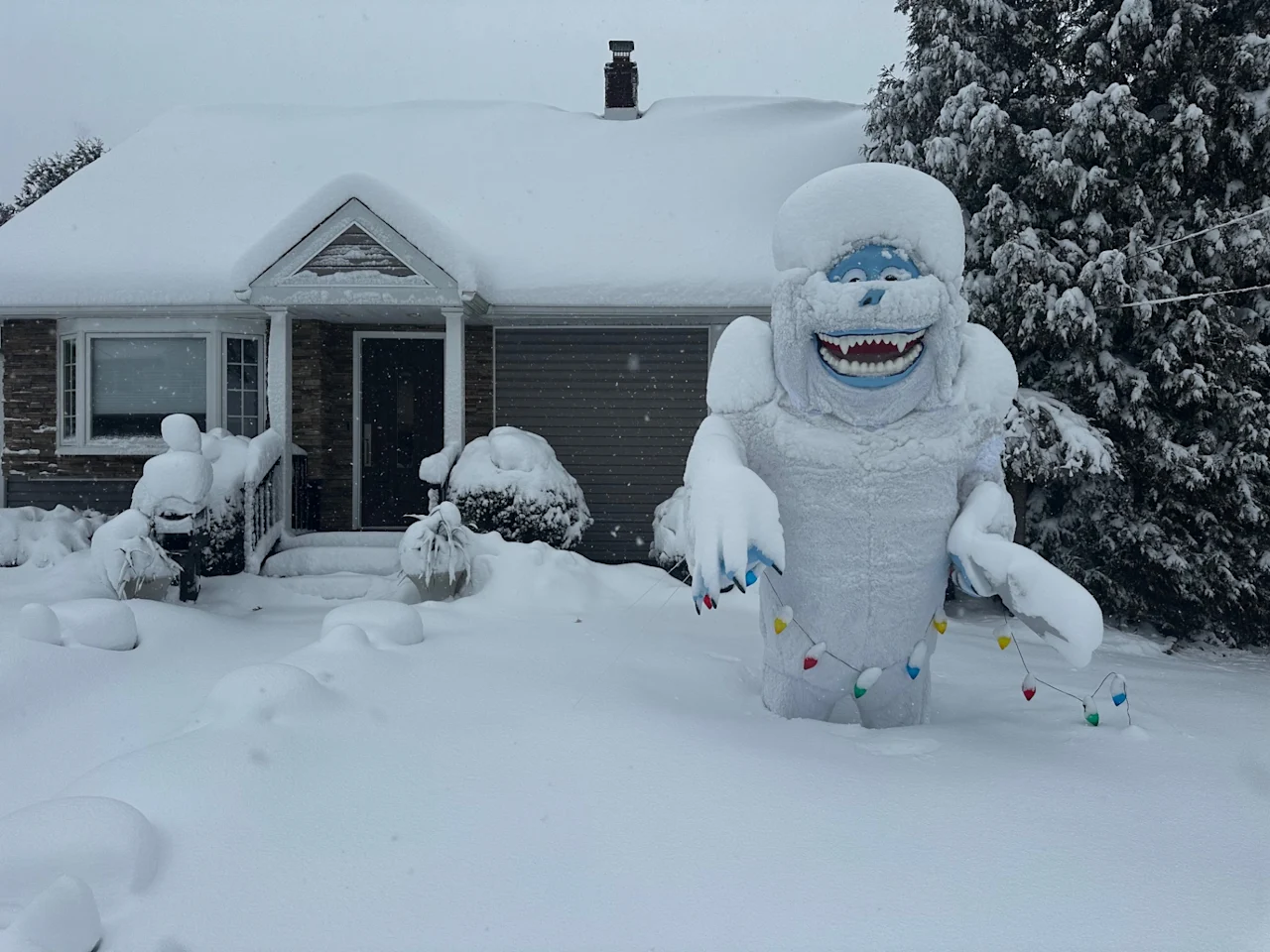 UGCSnow022326