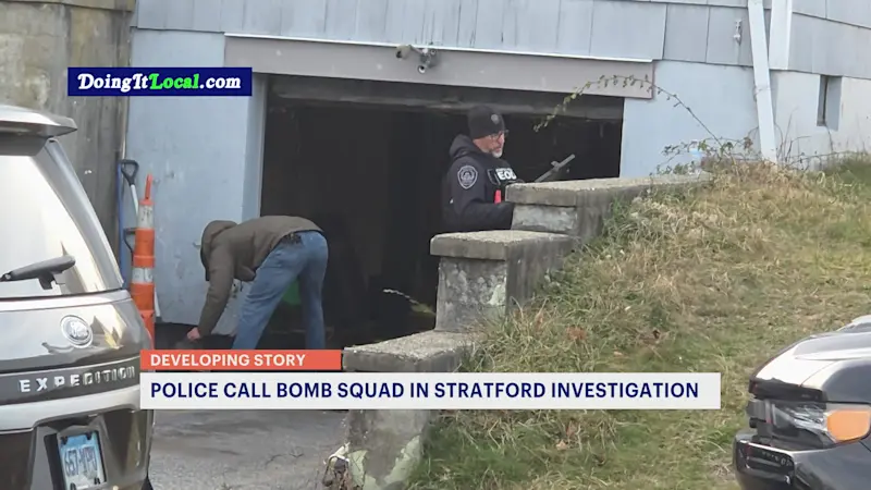 Story image: Bomb squad finds guns and explosive devices inside Stratford home