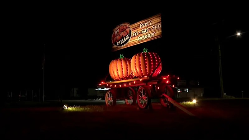 Story image: Halloween fun with lights instead of frights and friendly dinosaurs