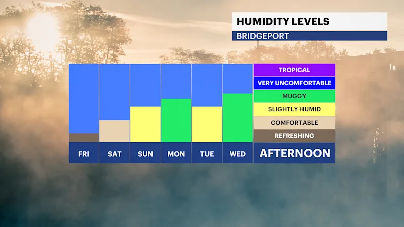 FB_Dewpoint_Daily2.png