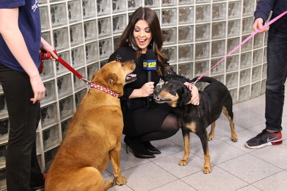 Article 122691 Thumbnail