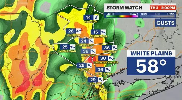 Story image: STORM WATCH: Rounds of rain, gusty winds to make for messy travel today