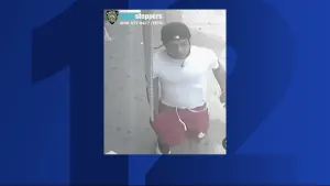 NYPD: Man fired gun in front of Bronx building, fled on foot