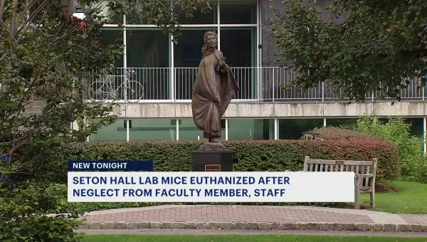 Officials: More than 70 lab mice at Seton Hall euthanized due to neglect