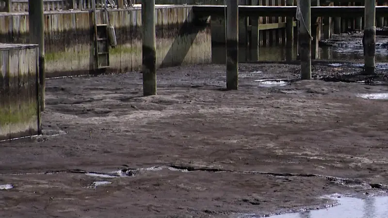 Story image: Low-tide smell lingers near South Shore towns due to strong winds