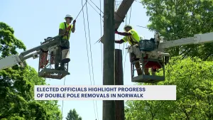 Norwalk officials say 61% of double pole transfers made, 31% of removals completed