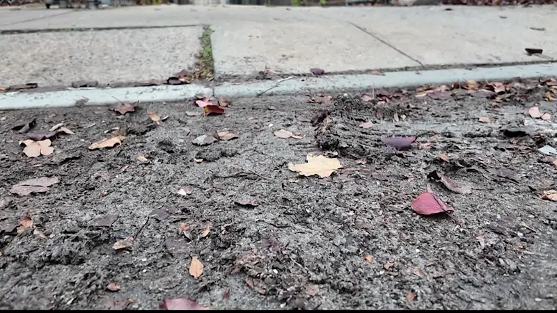 Story image: Chemical sand cleaned up in Wakefield after News 12 report