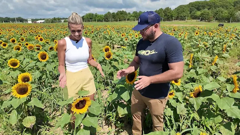 Story image: East End: Waterdrinker Family Farm in Manorville