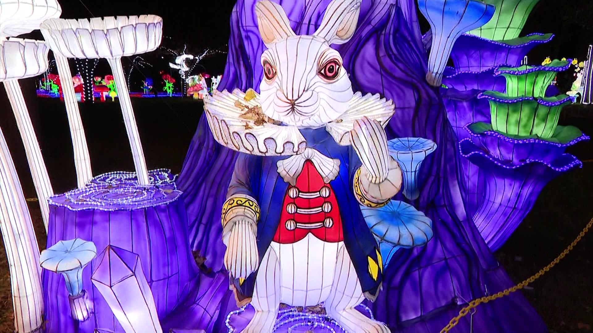 Nassau County lights up holiday season with 'LuminoCity'