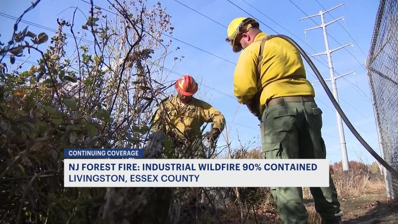 Story image: Officials: Industrial wildfire in Livingston burns 192 acres of land