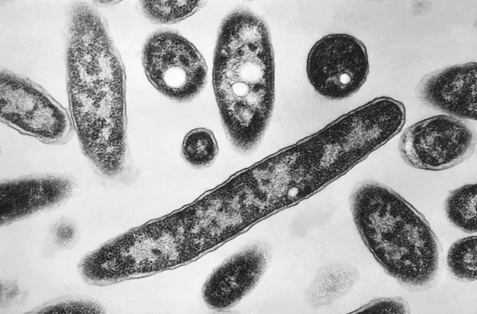 Story image: 4th person dies after a Legionnaires’ disease outbreak sickens dozens in New York City