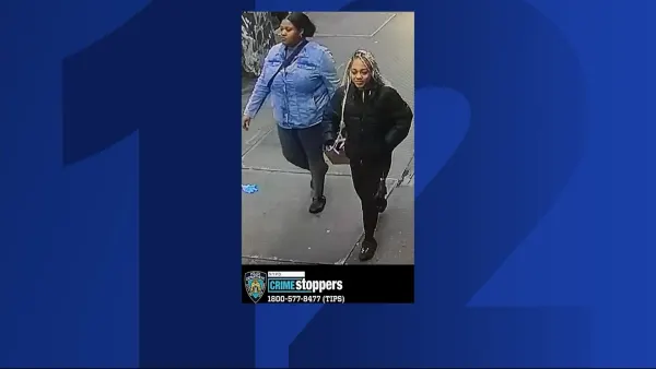 NYPD: 2 suspects wanted for assaulting 79-year-old man in Brownsville
