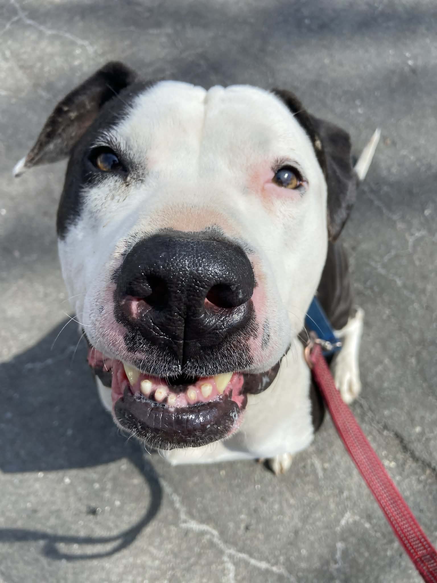 e6ca7007-7212-41ac-9fc0-b308d90f55d1.jfif