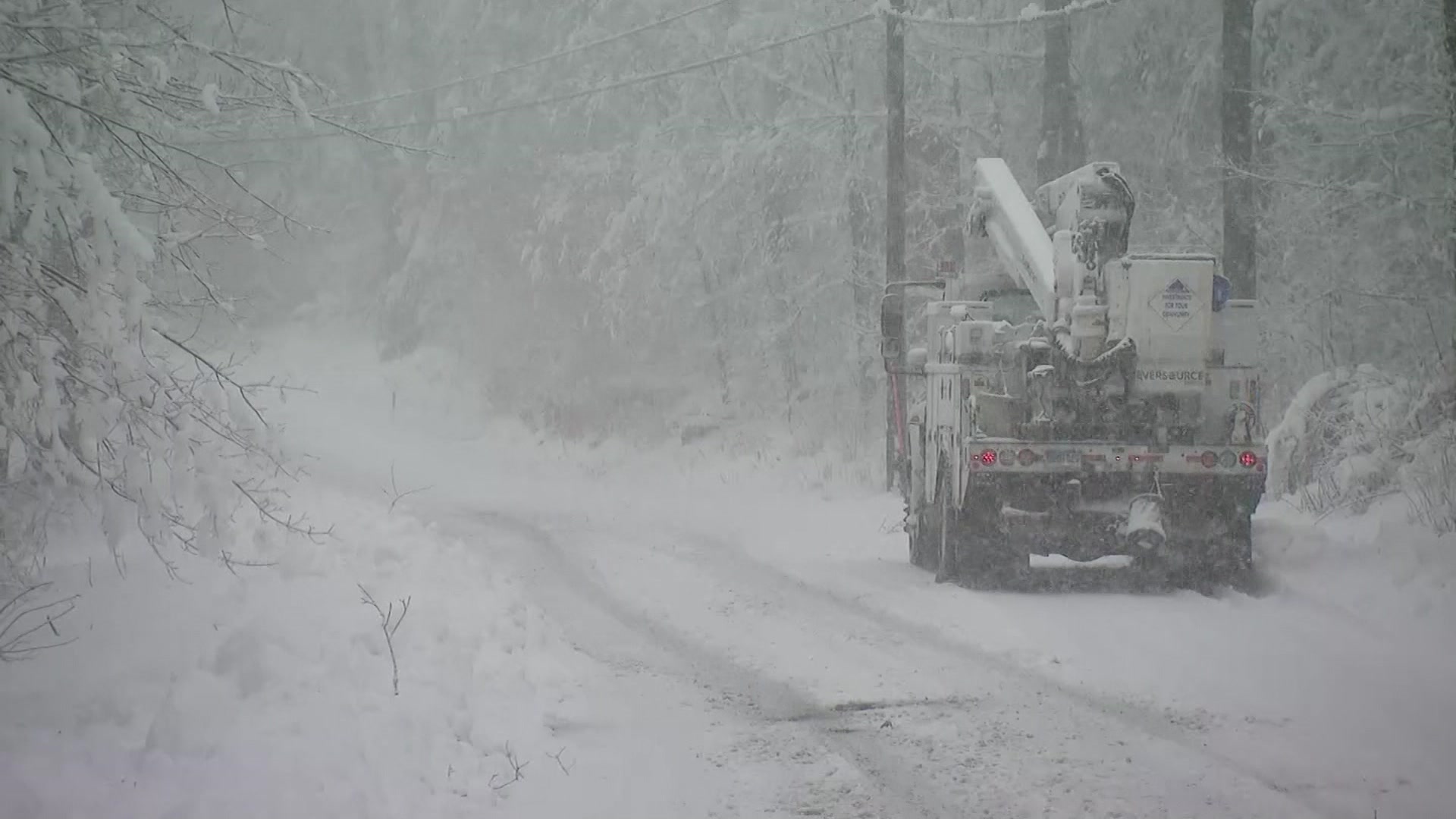 Heavy Snow Knocks Out Power, Downs Tree Branches In Goshen