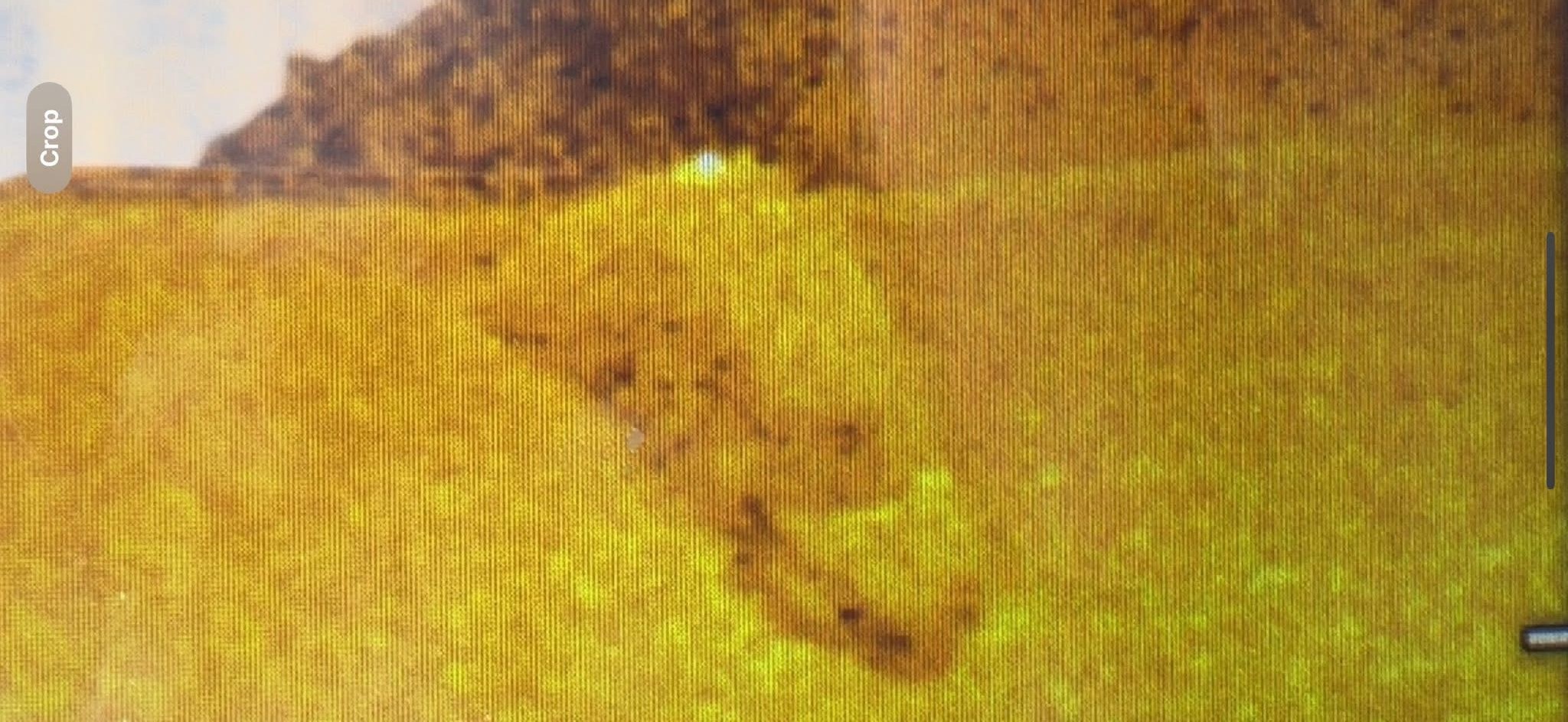 Mount Sinai Car Sonar.jpeg