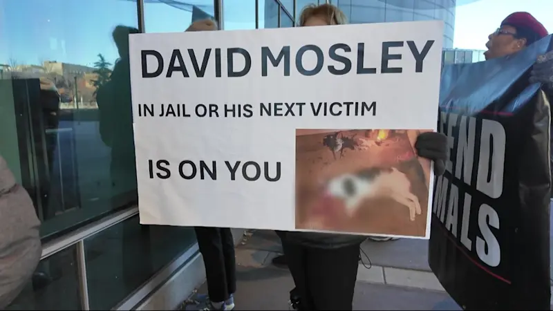 Story image: Bronx judge tells accused cat killer she will only accept max sentence plea deal