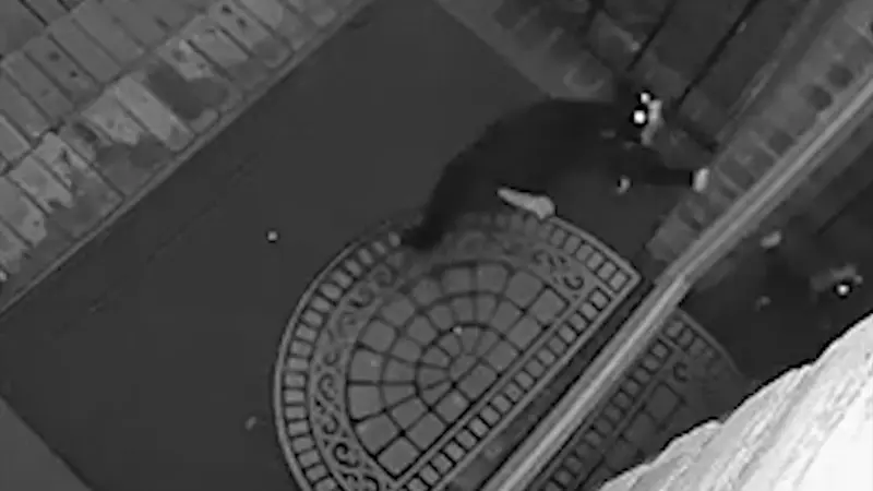 Story image: SPCA: Port Chester man arrested by SPCA Westchester for throwing, injuring cat