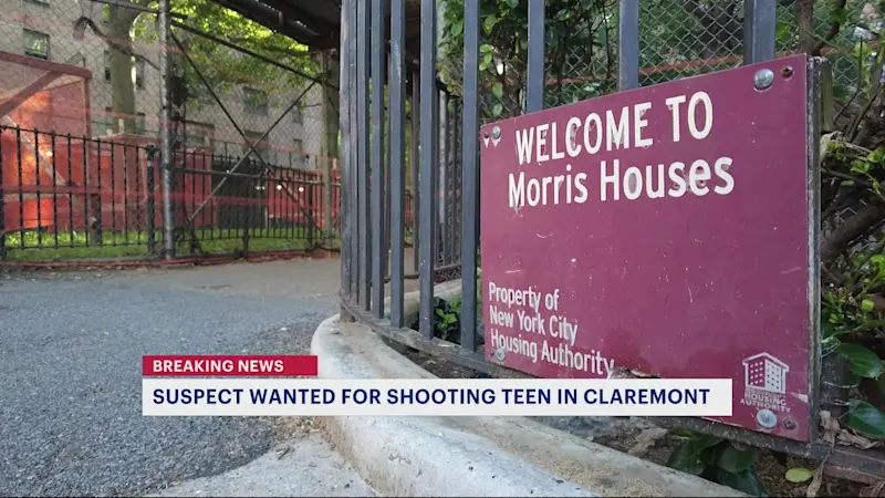 Story image: NYPD: New images released of person wanted for shooting teen boy in Claremont