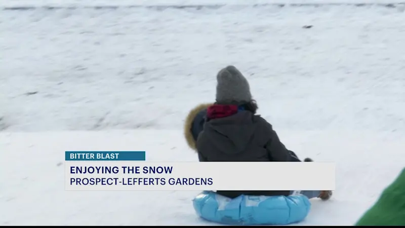 Story image: Kids take advantage of snow day by sledding, snowboarding and skating in Prospect Park