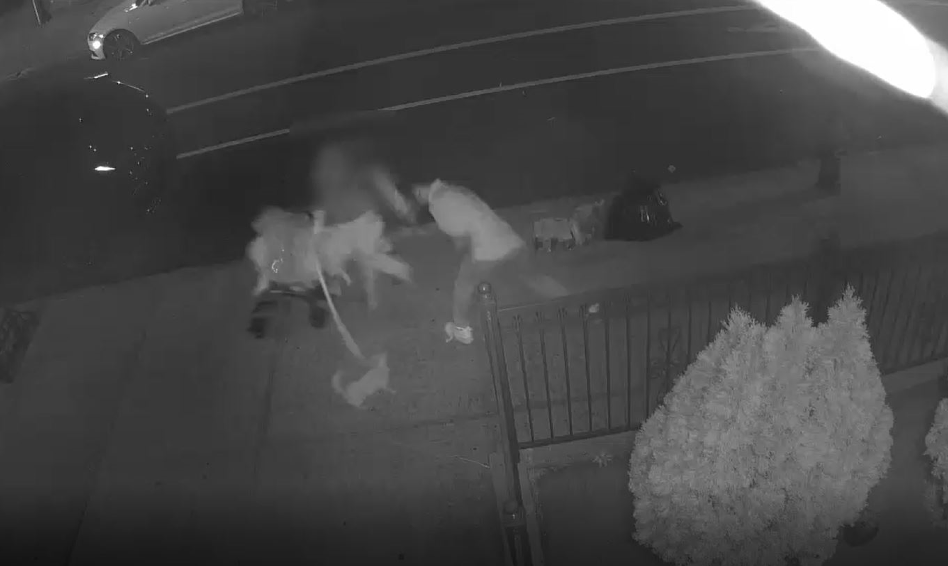 Article 293384 Hero Image