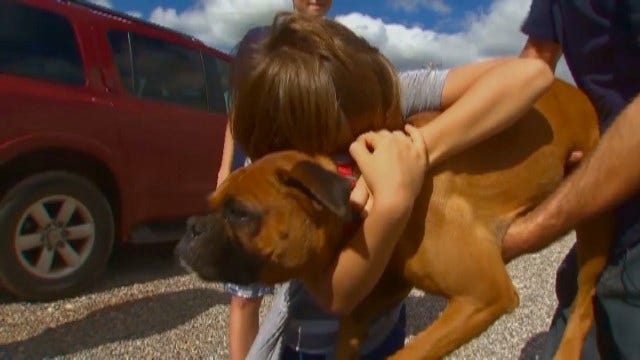 Article 151321 Thumbnail