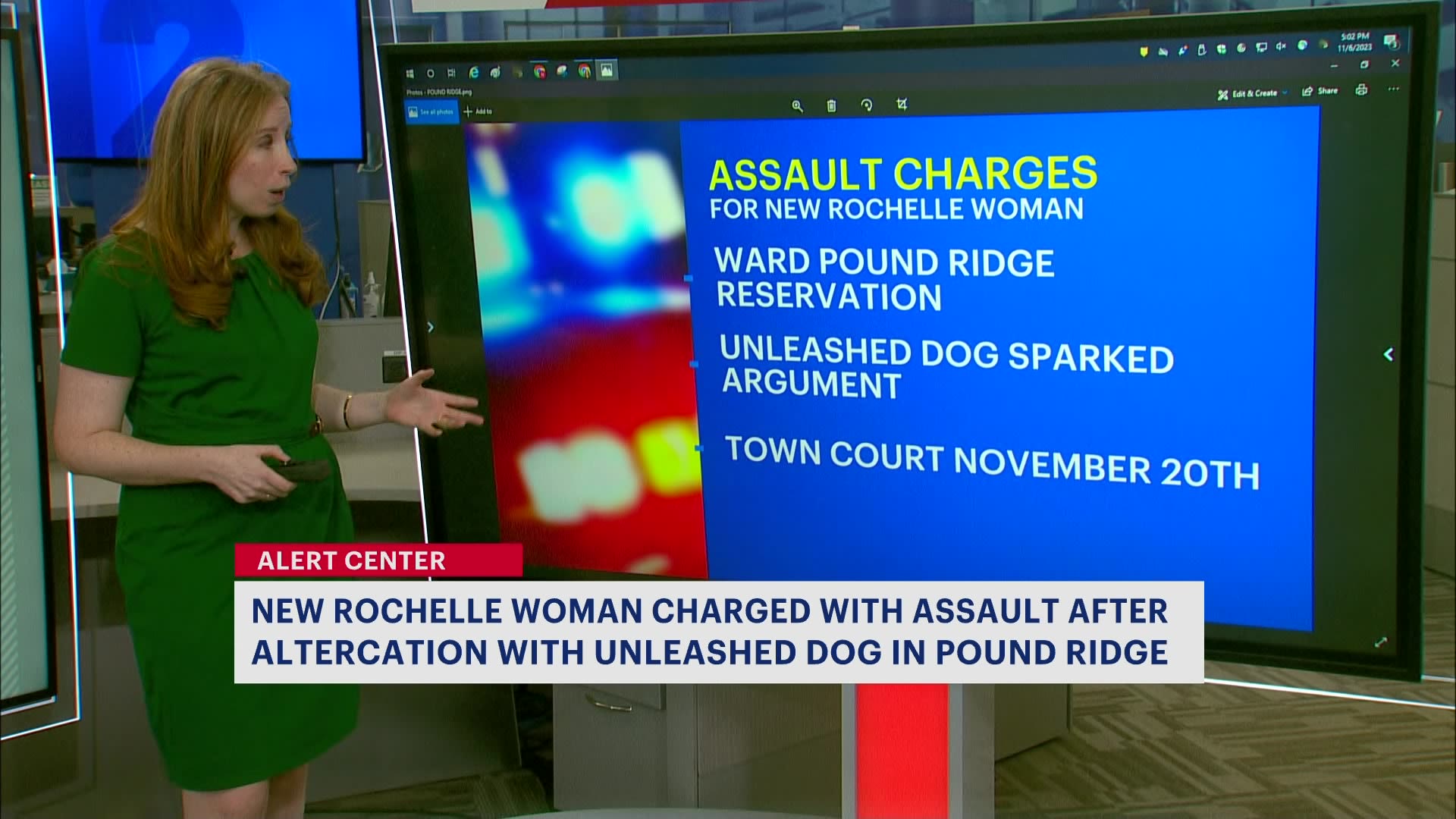 new-rochelle-woman-faces-assault-charges-over-unleashed-dog-argument