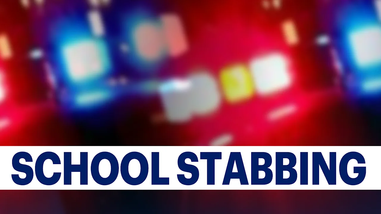 SCHOOL STABBING