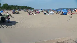 Health experts urge Bronx swimmers to stay safe before heading into the ocean to cool off