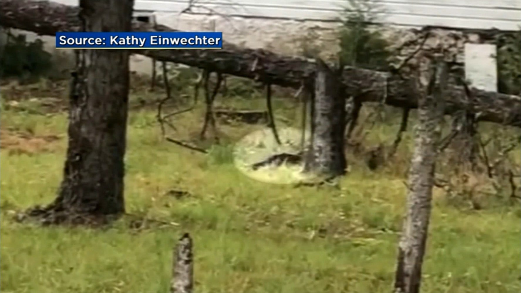 Article 146519 Thumbnail