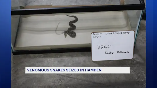 snakes0730_2026-07-30-21-19-06