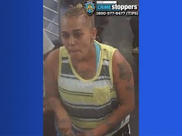 Story image: Woman arrested, charged with attempted murder in 2 train slashing 