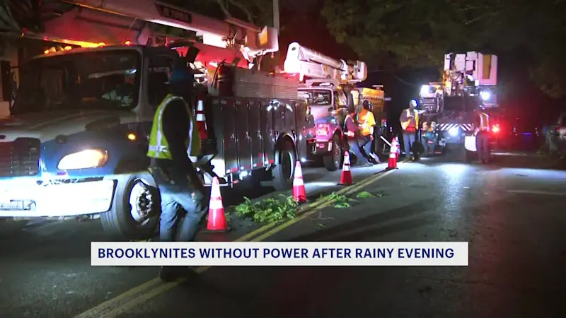 Story image: Storm knocks out power in Flatbush; crews work to restore service