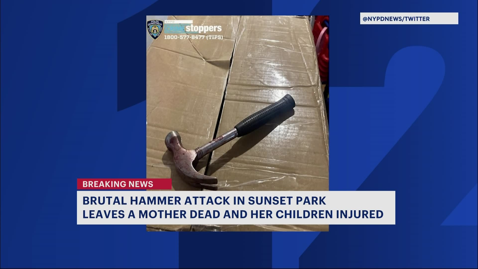 NYPD Mother Killed 3 year old And 5 year old Children In Grave nypd-mother-killed-3-year-old-and-5-year-old-children-in-grave