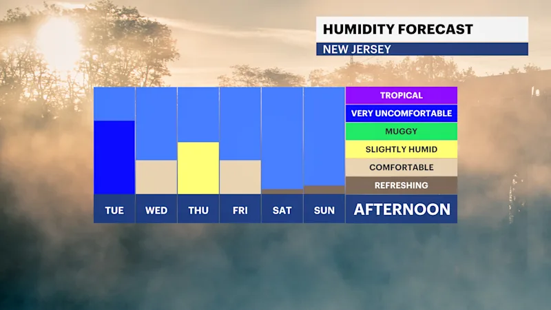 FB_Dewpoint_Daily.png