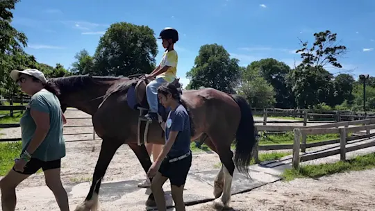 HorseAbility MS 080426_2026-08-04-17-19-36