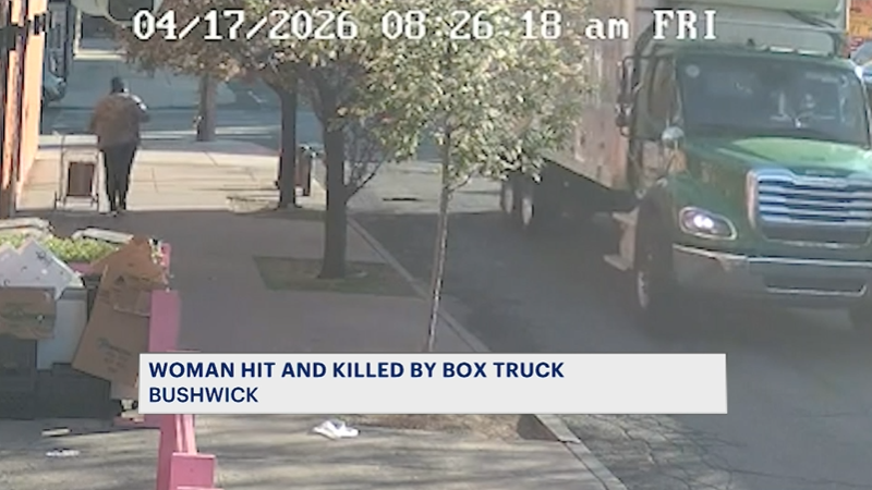 Story image: Woman struck, killed by truck a block away from home