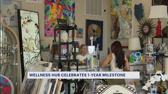 Wellness 1 year
