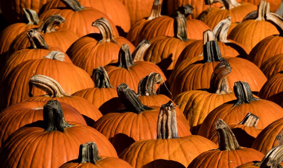 Article 39695 Thumbnail