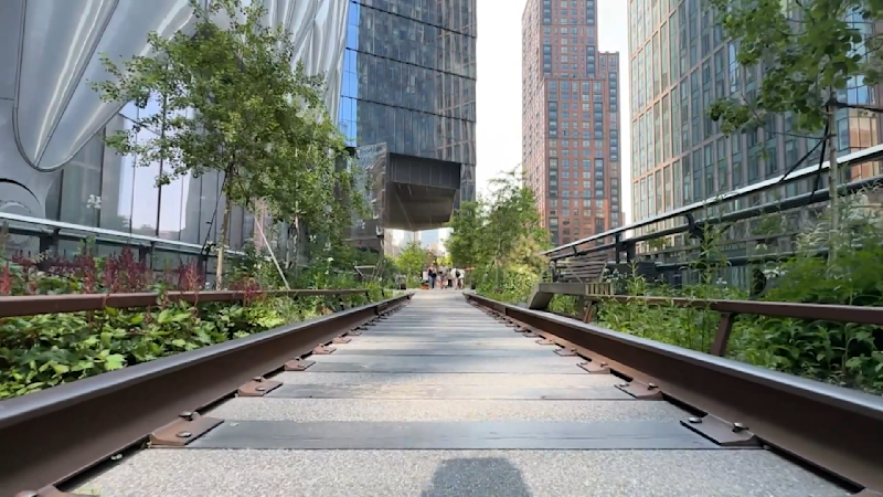 Story image: How the High Line in NYC came to be