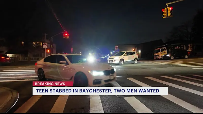 Story image: 2 men on the run in connection to stabbing of 15-year-old boy in Baychester