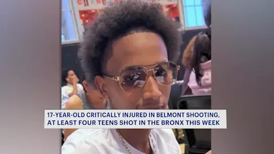 GUNVIOLENCEEST_2026-08-15-11-29-28