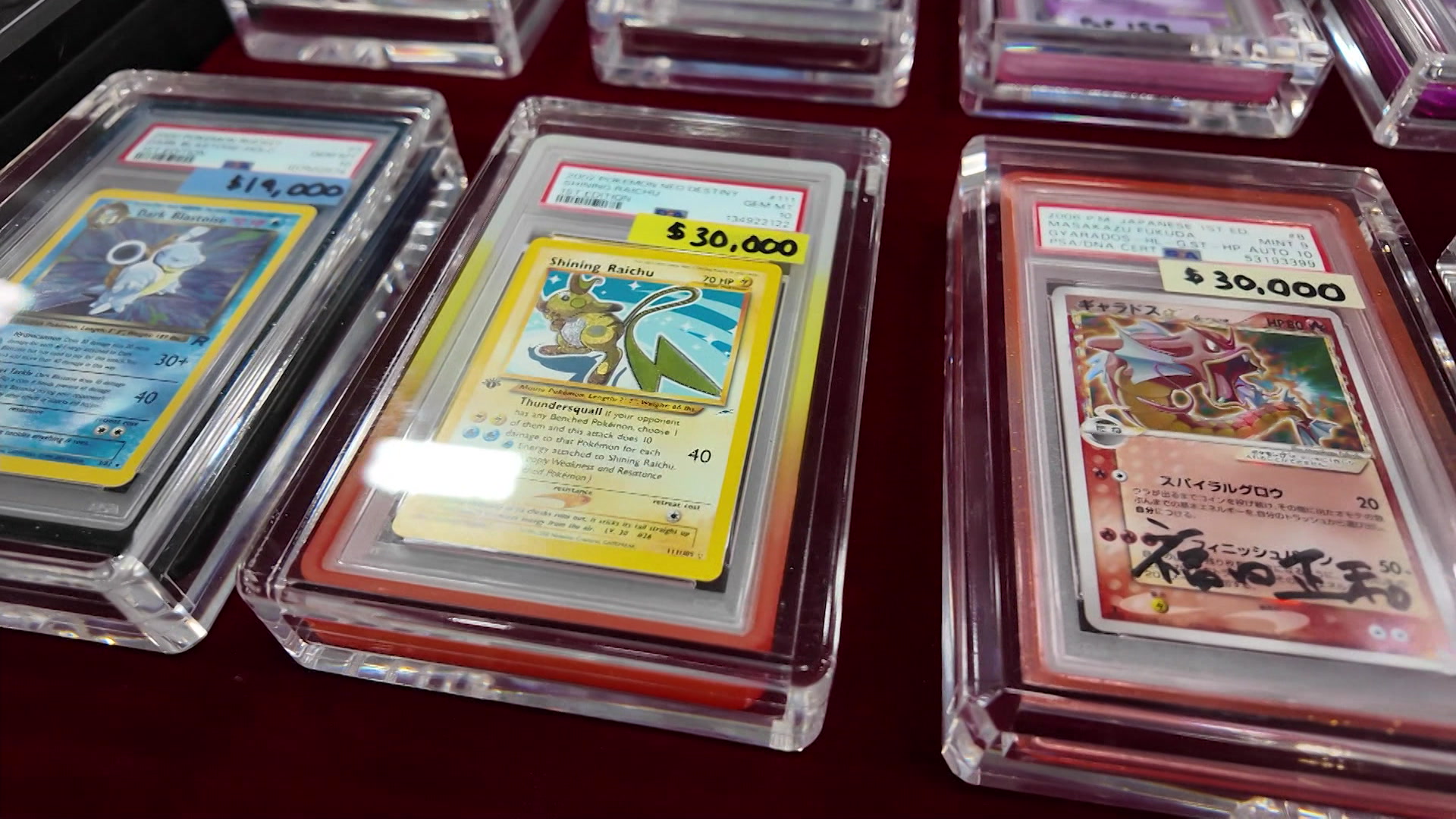 PokemonMarketMeadowlands_2026-06-14-17-20-24