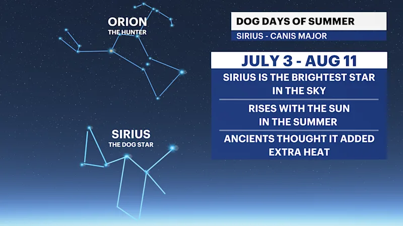 X_Dog_days.png